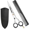 GTEX Forbici Parrucchiere Professionali - 6,5" Premium Forbici Capelli Con Pettine E Caso - Forbice Barbiere Super Affilate - Hair Scissors