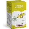 Zenzero e Limone - 18 cialde