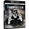 ARVI Frankenstein (4K UHD + Blu-ray) [Blu-ray]