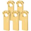 Geweo Chiavetta USB 32 GB [5 Pezzi], Carino Cartoon Cat Paw Penna USB 32GB Pendrive USB 2.0 Flash Drive 32giga Memoria Esterna PC per pc, portatile, Laptop, Dispositivi Con Porta USB (Oro)
