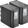 JYJZPB 2 Pezzi 7.4V 8800mAh NP-F970 Batteria per Sony NP F970 F750 F770 F960 F550 F530 F330 F570 Camera CCD-SC55 TR516 TR716 TR818 TR910 TR917, con Schermo di Alimentazione LCD, Porta di Uscita USB