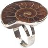 Generic BHUEHSS - Anello regolabile unico alla moda con ammonite naturale Reliquiae, anello da dito con conchiglie fossili naturali, per donne e ragazze, See picture for size, lumaca fossile naturale