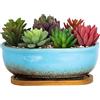 ARTKETTY Vaso per piante grasse, 20 cm, rettangolare, per piante da interno, bonsai in ceramica, con vassoio di drenaggio, piccolo vaso per fiori, casa, giardino, finestra