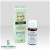 HOMEOSERVICE Rosmarino Olio Essenziale 10 Ml