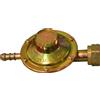 OEM Regolatore Gas in ottone Bassa pressione Taratura fissa per Stufe GPL