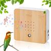 Fancysky Soundbox con Canto degli Uccelli, Scatola di Uccelli con Sensore di Movimento, Scatola Cinguettio Uccellini, con Supporto a Parete, per Camera da Letto Soggiorno Relax Bagno WC