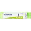 BOIRON® Dulcamara (Boiron)*Granuli 5 Ch Contenitore Multidose 4 g Granuli