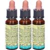 Fiori Di Bach 30 Sweet Chestnut Leo 3x10 ml Gocce orali