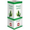 Kos Ficus Carica Mg Integratore per la funzione digestiva 100 ml