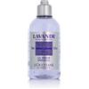 L'Occitane Lavande Shower Gel 250 ml opzione Nuova confezione
