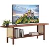 HollyHOME Mobile TV Soggiorno Tavolo TV con Rattan 140cm Bambù 2 Ripiani Mobile Porta tv Salvaspazio Salotto Camera da Letto, Naturale-B