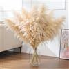 SHOKAN Erba di Pampa Grande 100 cm/39 pollici, 10 mazzi di fiori secchi Pampa XXL, fiori secchi decorativi di erba di Pampa naturale soffice, per decorazione Boho soggiorno camera da letto decorazione di