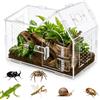 KOUHA Contenitore per terrario per rettili, in acrilico, con pinzette, trasparente, portatile, per ragni, lucertole, coccinelle, rane, serpenti, geco, camaleonte (20 x 10 x 15 cm)