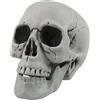 Fangoo Teschi di Halloween Realistico Cercando Halloween Cranio Testa Scheletro Plastica Cranio 1: 1 Replica Bone Modello, Modello di teschio per Halloween Party Casa Esterno Decor, 20 x 15 cm