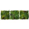 Monster Shop Parete con Piante Artificiali 100x100cm(3Pz) CassiaFoliage Verde Realistico per Interni ed Esterni - Resistente agli Agenti Atmosferici e ai Raggi UV - Recinzione, Sfondo Decorativo - Fissaggi Inclusi