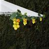 EONANT Uva solare stringa luce esterna impermeabile 80LED vite appeso illuminazione simulazione frutta decorazione piccola taverne giardino ombrellone ombrellone matrimonio festa luce (verde)