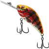 Salmo - Esca per Pesca alla Trota
