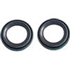 BUDZAVHIC 2 Pezzi paraolio 0332205 per fuoribordo J-hnson E-inrude 40HP 50HP 55HP 60HP 65HP 2006-2012 Motore 777942 Sostituzione 86460 18-2064