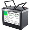 WSDAV Batteria LiFePO4 24 Volt, Batteria al Litio Ferro fosfato da 24V