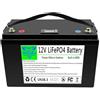 WSDAV Batteria per accumulo di energia 12V 100Ah 120Ah 150Ah