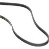 DAYCO 4PK903EE Cinghia Poly-V Fiat DUCATO AUTOB.FURG.