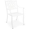 Decor Space Sedia con poggiabraccia Ivrea, in alluminio pressofuso effetto lucido, da 65 cm (Bianco)
