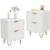 BONUIE Comodino bianco, set da 2 pezzi, comodino con 2 cassetti e gambe in metallo, moderno e sottile, per camera da letto, soggiorno, bianco, 40 x 40 x 55 cm