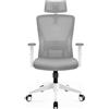Durrafy Sedia da Ufficio Ergonomica, Poggiatesta & Supporto Lombare Regolabili, Rete Traspirante, 120° Inclinazione（Non bloccabile）, 360° Girevole, 150kg Carico. Grigio