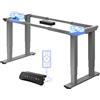FLEXISPOT Scrivania Regolabile in Altezza Elettrica con Doppio Motore, Portata 250 kg, 3 Memorie, Porte USB Integrate, Promemoria Sedentarietà e Anti-Collisione, per Home Office e Ufficio