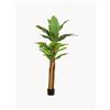 Bizzotto Pianta artificiale Banana -
