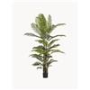 Bizzotto Pianta artificiale Kenzia -