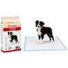 Flamingo Tappetino per ADDESTRAMENTO PADY M/L 20PZ 60x60CM