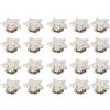 Fauitay 20pcs 12mm Rivetti in Pelle Rivetti a Vite Rivetti a Forma di Stella Borchie Fai-da-te con Viti per Borse Abbigliamento Scarpe Cinture Abbigliamento Fai-da-te Scarpe Decorazione (argento piatto)