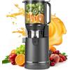 XTKKGFBIR Estrattore Frutta e Verdura a Freddo 400W, Slow Juicer con Bocca XL 152 mm per Frutta e Verdura Intere, Filtro 3 in 1 (Succo, Sorbetto, Latte Vegetale), Alto Rendimento (Grigio)