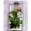 Anique Attack on Titan Levi Online Exhibition Limited Edition Memorial Herbarium nuovo