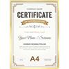 Giftgarden Cornice A4,Cornice in Alluminio Spazzolato Dorato,Set da 1
