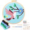 JSRQT Kit Punch Needle per Principianti, Kit Iniziale Ricamo di Aghi Punzonatura per Bambini Adulti con Motivo Uccelli, Punch Needle Ricamo Kit Punto Croce Fatto a Mano con Strumento per Artigianato