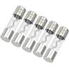 Partuto 5 Pezzi 10x38mm 100A Fusibile Universale In Vetro AGU Per Auto