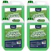 LUCCY Detergente per la Pulizia di Prati in Erba Sintetica Pronto 20 Litri - Liquido per Pulire Erba Artificiale e Prato Sintetico