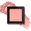 Revlon Powder Blush