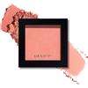 Revlon Powder Blush