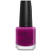 Diego dalla Palma Smalto Nail Polish 14 ML
