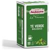 Tè verde Bio - 18 filtri