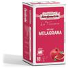 Infuso Melagrana - 18 filtri