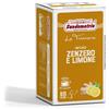 Infuso gusto Zenzero e Limone - 18 filtri