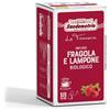 Infuso gusto Fragola e Lampone - 18 filtri