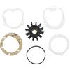 BUDZAVHIC 24880190 Kit girante 0460038 per Motore Marino P-rkins 4236 M80 4107 4108 4.99M/Prima 4154 6354 e Pompa Acqua 2488322 NA003428
