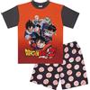Dragon Ball Z, Licenza Ufficiale Pigiama a Maniche Corte, DragonBallZ, 15-16 Anni: 176cm, Arancione