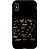 Funny Entomology Insects Species Bug Col Custodia per iPhone X/XS Scarabei Specie di insetti Entomologo Natura Tipi Di Insetti