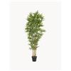 Bizzotto Set di 2 piante artificiali Bamboo II -